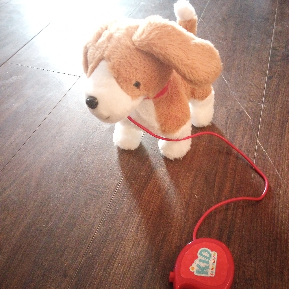 Kids connection walking dog